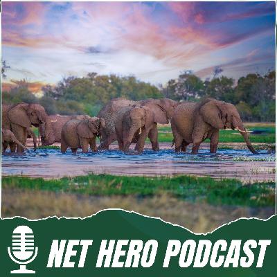 Filming nature without harm