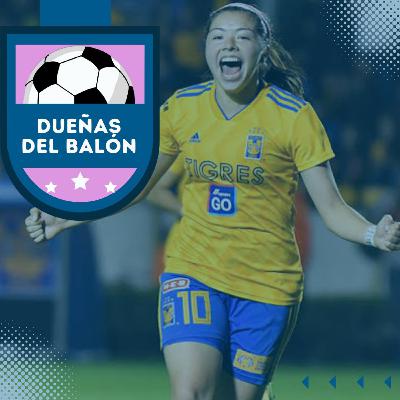 DDB T1 E4 - TIGRES SIN "PIEDAD"