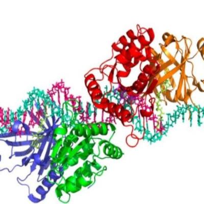 Importancia de las enzimas en los procesos biotecnológicos...