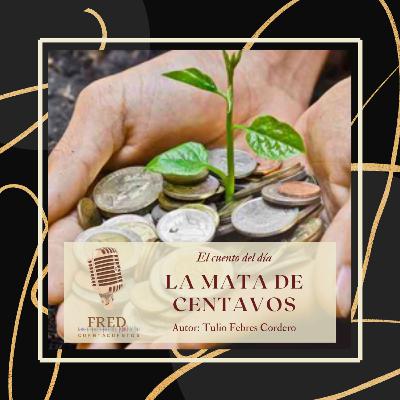 La Mata de Centavos