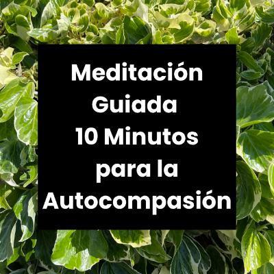 Meditación Guiada para la Autocompasión | 10 Minutos