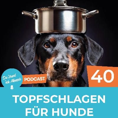 40# Topfschlagen für Hunde 40# Topfschlagen für Hunde
