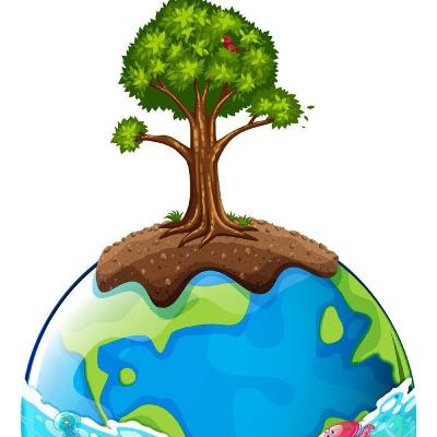 Livro Infantil