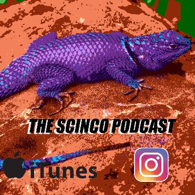 01x1 Parliamo di Dio, videogiochi, Tik Tok e di cose ma ridendo troppo by Scinco Podcast