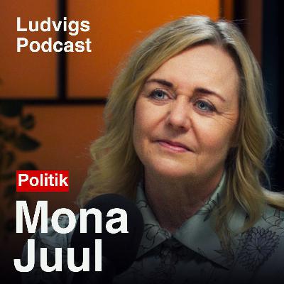 Mona Juul: Fra Erhvervsliv Til Folketing | 244