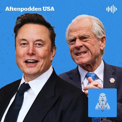 Trump må velge: Musk eller MAGA