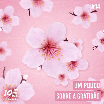 Episódio #14 - Um pouco sobre a Gratidão.