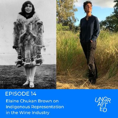 Episode 14: Elaine Chukan Brown on Indigenous Representation in the Wine Industry