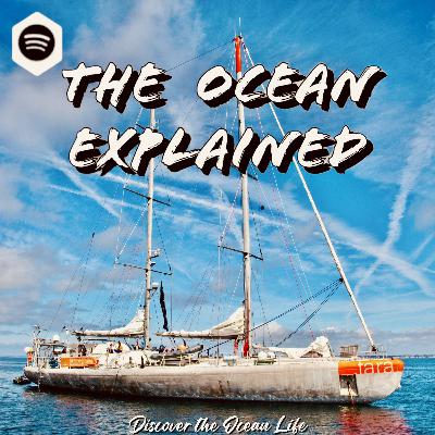 TIDE TALK I eDNA : How We can Track Fish Without actually Catching Them