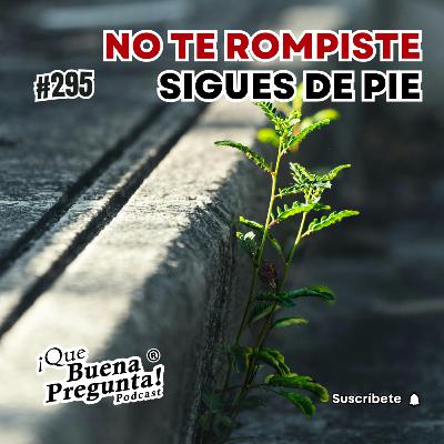 ¿Qué es realmente la resiliencia? - Que Buena Pregunta! - #295
