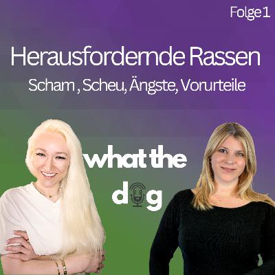 #1 Herausfordernde Rassen – Scham, Scheu, Ängste, Vorurteile