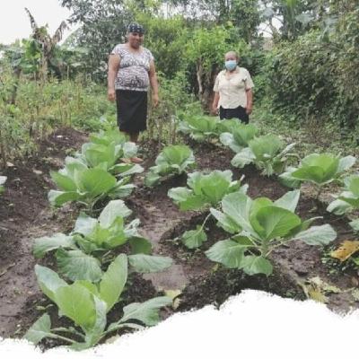Red Alternativas Sustentables Agropecuarias RASA, México