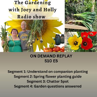 Episode 1523: S10E5 understanding companion planting,  Spring flowers, Chatter Spot, Garden Q&A - The Gardening with Joey and Holly Radio Show
