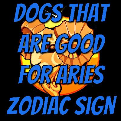 Dogs That Are Good For The Aries Zodiac Sign Dogs That Are Good For The Aries Zodiac Sign