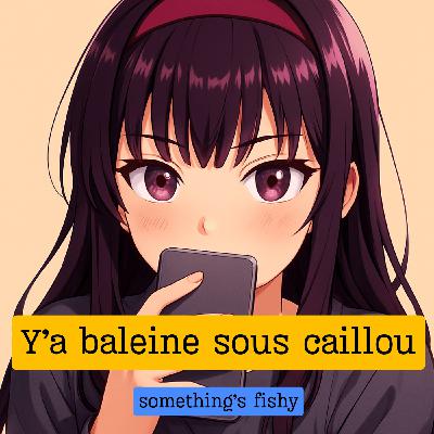 Expression française : "Y'a baleine sous caillou" et l'histoire de France sous louis XV Expression française : "Y'a baleine sous caillou" et l'histoire de France sous louis XV