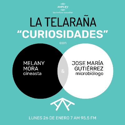 Curiosidades