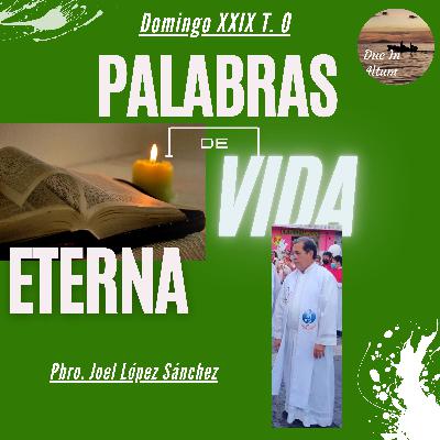 T.4 Ep. 18. Palabras de Vida Eterna. El hijo del hombre. T.4 Ep. 18. Palabras de Vida Eterna. El hijo del hombre.