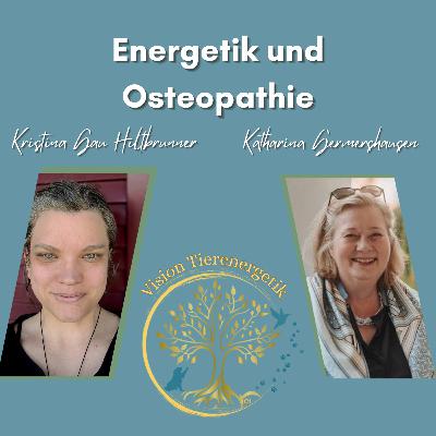 No. 23 Osteopathie und Energetik No. 23 Osteopathie und Energetik