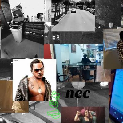 campanha aos peixes (excerto)