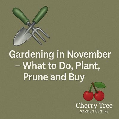 🌿 Gardening in November (UK Guide) | What to Do, Plant, Prune & Buy | Cherry Tree Garden Centre 🍒 🌿 Gardening in November (UK Guide) | What to Do, Plant, Prune & Buy | Cherry Tree Garden Centre 🍒