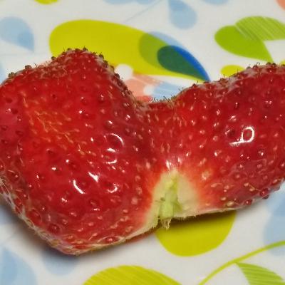 朗読が独特なおばちゃんの読み聞かせ　第一回「やまなし」