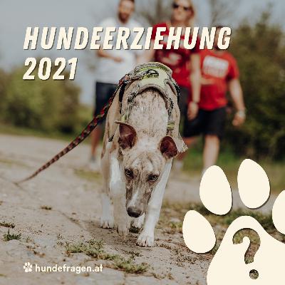 Hundeerziehung 2021 | HUNDEQUATSCHEREI