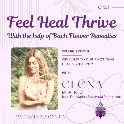 Welcome to Feel Heal Thrive