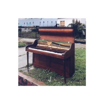 rain piano, bird piano, clouds