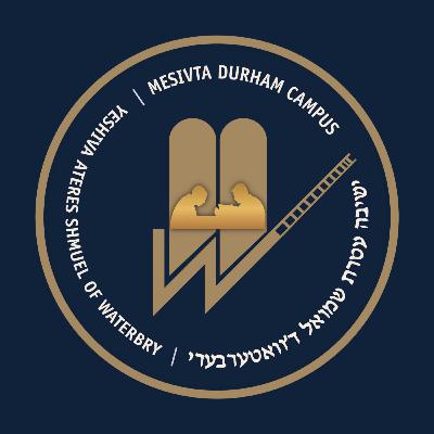 Rabbi Kalish - Sticks and Stones