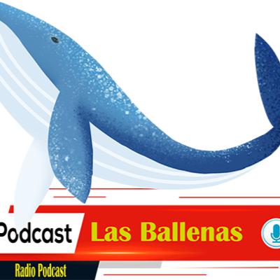 Las Ballenas Las Ballenas