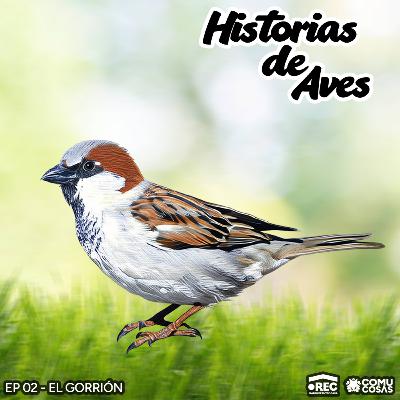 02: El Gorrión