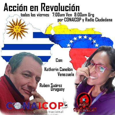 Accion en Revolucion