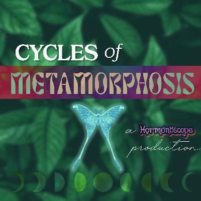 Your Cycle is The Missing Piece Your Cycle is The Missing Piece