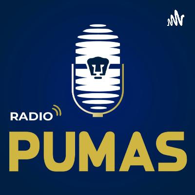 Instalados en las semifinales ya todo es posible