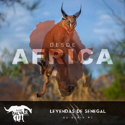 Leyendas De Senegal (con Pam Agullo) DESDE AFRICA