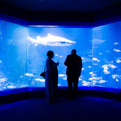 That Time We Went to a Professional Wrestler's Wedding That Time We Went to a Professional Wrestler's Wedding