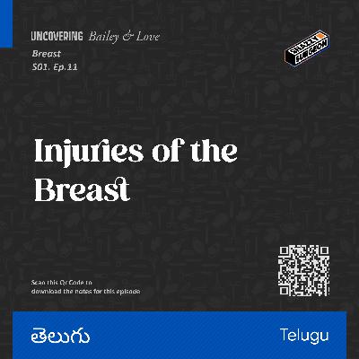 S.01 Ep.11 Injuries of the Breast_Telugu