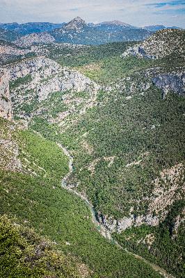 Episode 7. You'll Move Forward.