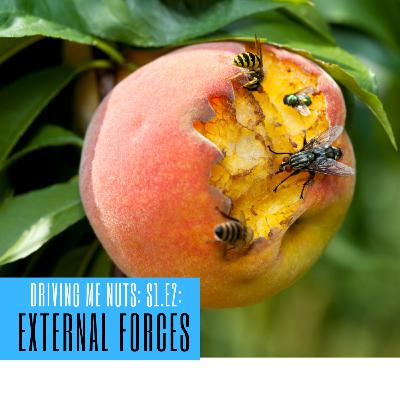 Dealing with External Forces: Talent Shortage, Supply Chain Disruptions, Economy...