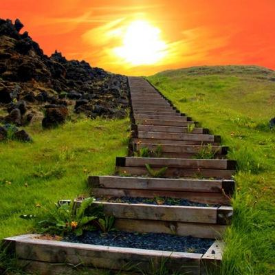 T4X29: La Muerte: Motor de vida - 28/04/2017