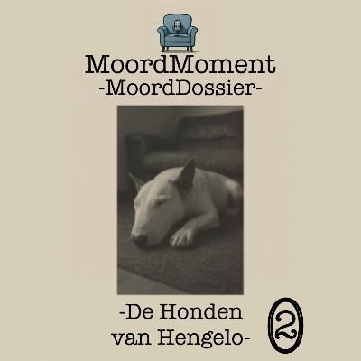 #37 De honden van Hengelo - deel 2: de Verdachte #37 De honden van Hengelo - deel 2: de Verdachte