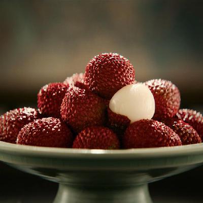 《长安的荔枝》大唐牛马生存法则