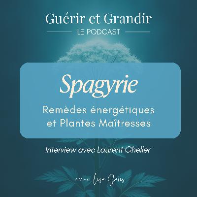 Spagyrie : Remèdes énergétiques et Plantes Maîtresses - Interview avec Laurent Gheller