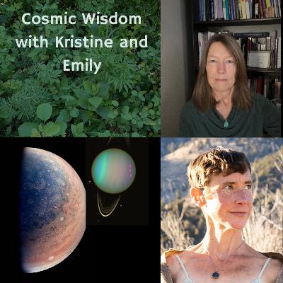 Bridging sky and earth: Emily Trinkaus on the magic of biodynamic agriculture