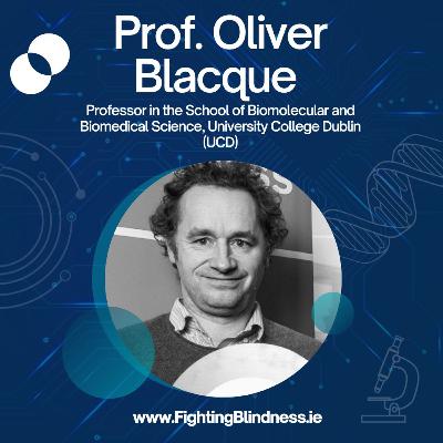 Fighting Blindness - Meet your Researchers: Prof. Oliver Blacque │EPISODE 3 Fighting Blindness - Meet your Researchers: Prof. Oliver Blacque │EPISODE 3