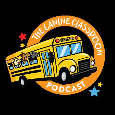 Ep. 33- Nose Work for Pet Dogs & Competition with Julie Symons