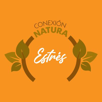 ESTRÉS ESTRÉS