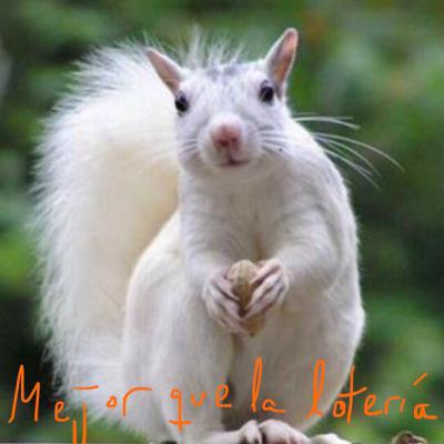 3. Mejor que la lotería (tolerancia) 3. Mejor que la lotería (tolerancia)
