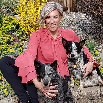 How to increase the number of pets returned home - Ep49 How to increase the number of pets returned home - Ep49