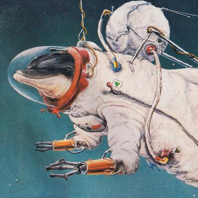 #01 PLANTAÇÃO DE MIOJO - Golfinho Astronauta